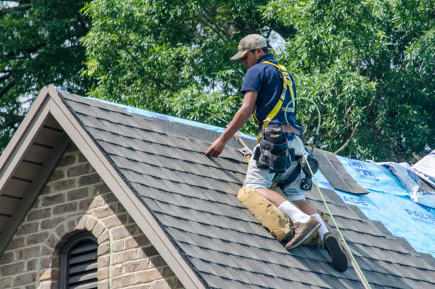 Best New Roof Installation  in Kings Bay Base, GA